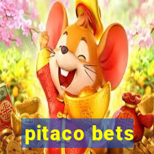 pitaco bets